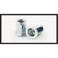 Full Hex Flat Head Insert Nuts – Rubber Well Nuts for Load Spreading in Oversize Holes – EPDM Rubber Body, Brass Insert Nut, M6-M10, Flat Countersunk Head for Automotive Trim, Signs and Fascia Fixing